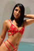 Set Antonio